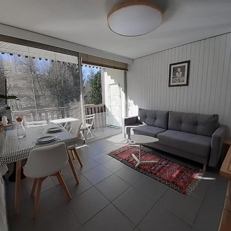 שאמוני Studio Quartier Calme Centre Ville Vue Mont Blanc מראה חיצוני תמונה