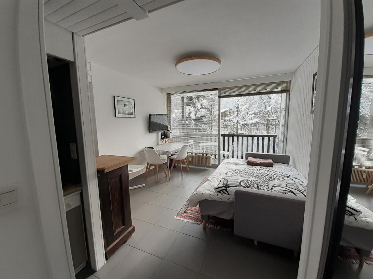 שאמוני Studio Quartier Calme Centre Ville Vue Mont Blanc מראה חיצוני תמונה